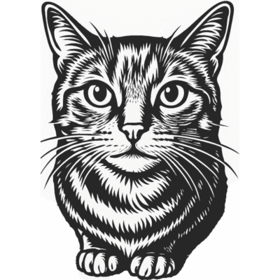 Image for choice number 1