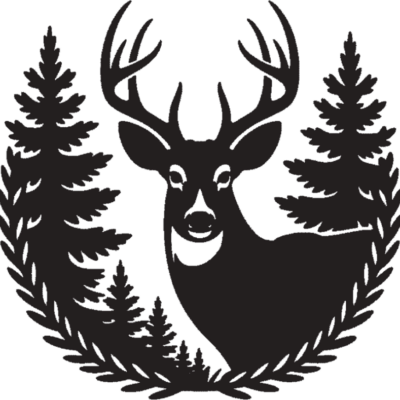 Image for choice number 3