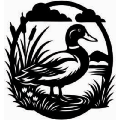 Image for choice number 5