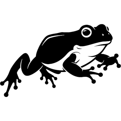 Image for choice number 8