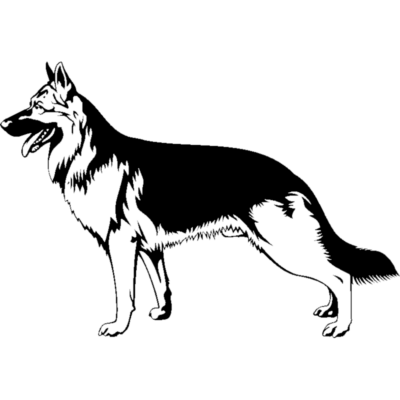 Image for choice number 7